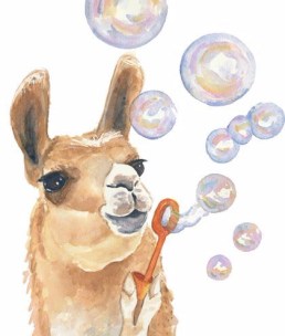 llama-dibujo.jpg